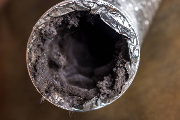 Best Industrial Air Duct Cleaning in Basehor, KS